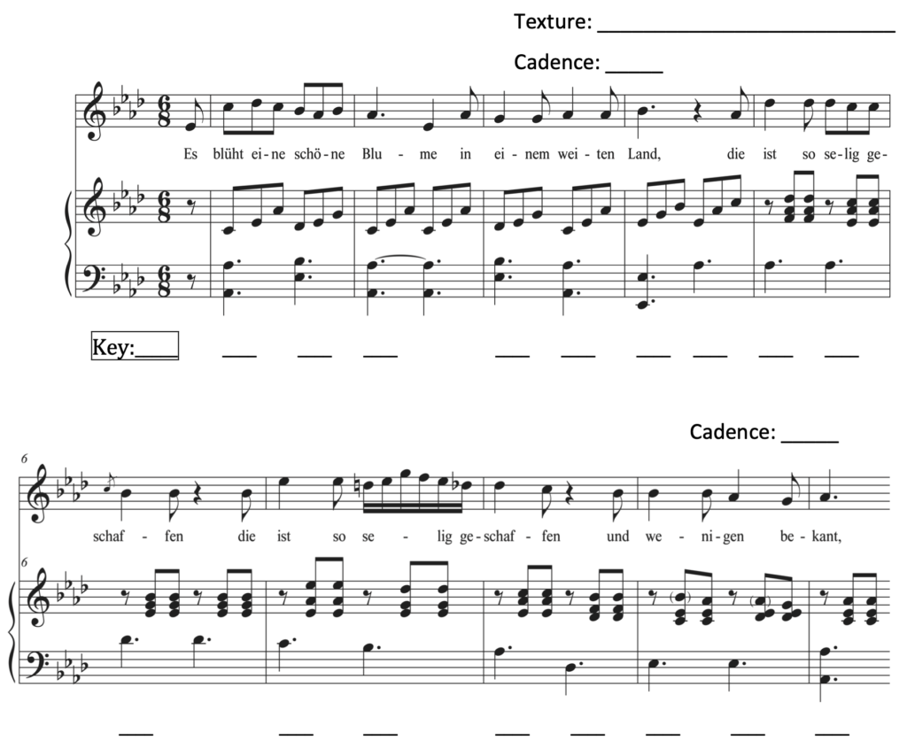 image of score with blanks for texture, cadences, key, and Roman numerals