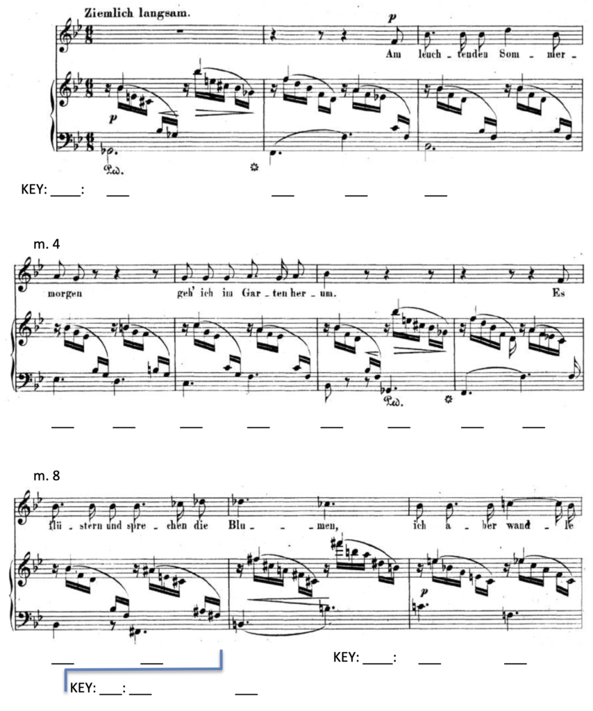 image of score with blanks beneath staff for Roman numeral labels.